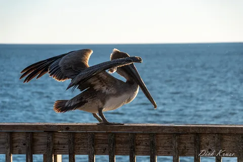 Gulf State Park