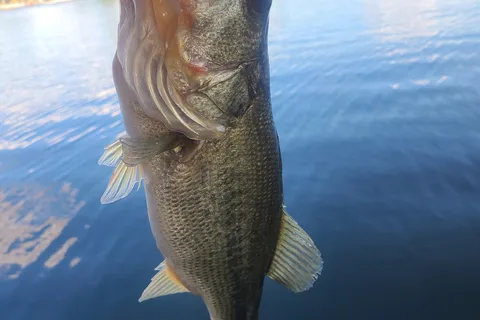 La Mancha Lake Ranch