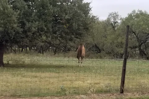 La Mancha Lake Ranch