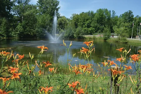 Our Ponderosa | A Parkbridge Cottage and RV Resort