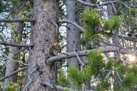 Signal Mountain Campground - Grand Teton National Park