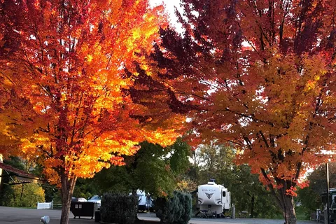 Rising River RV Park