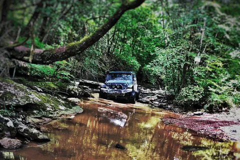 Windrock Park Campground