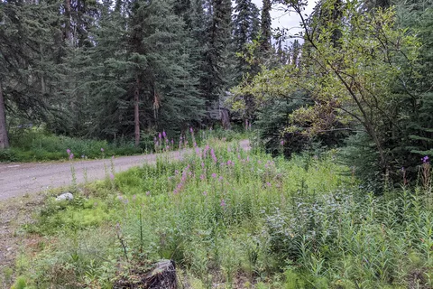 Wolf Creek Campground and Recreation Site