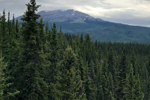 Wolf Creek Campground and Recreation Site
