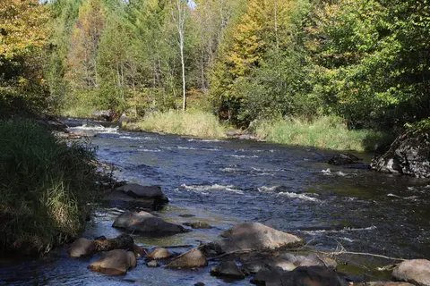 Cedar Falls Campground