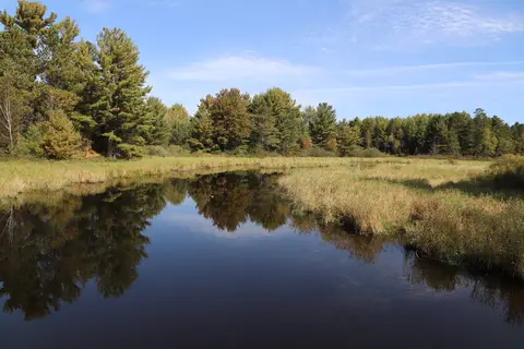 Cedar Falls Campground