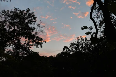 Garrisons River Resort