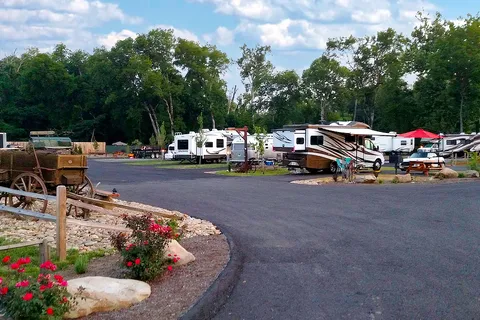 Buddy Bear in the Smokies RV Campground