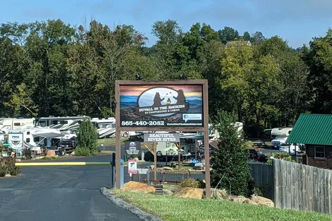 Buddy Bear in the Smokies RV Campground