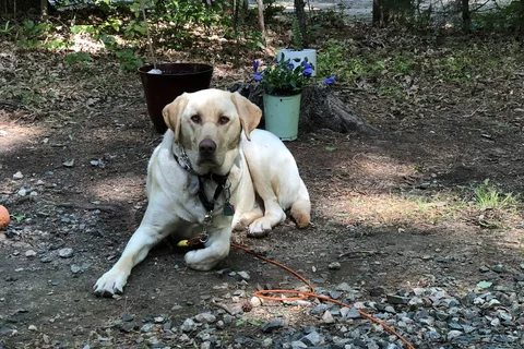 Cross Winds Family Campground