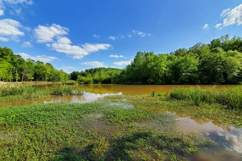 Lake Eufaula Campgrounds