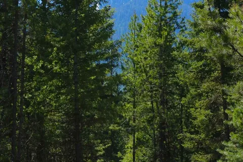 Mountain Meadow RV Park And Campground
