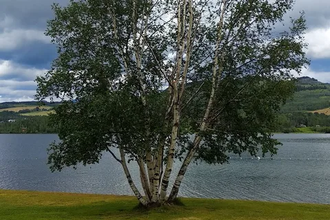 Tyhee Lake Provincial Park