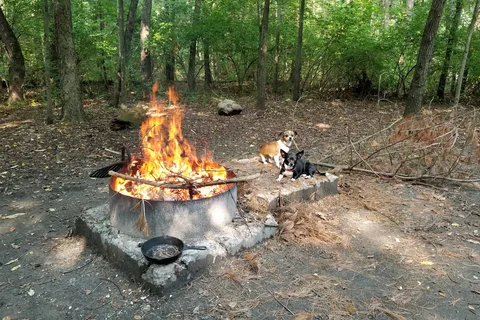 Pine Camp - Sand Ridge State Forest