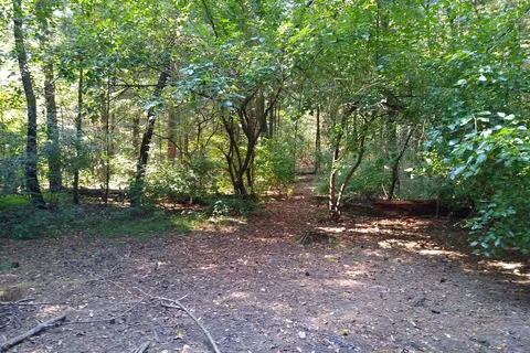 Pine Camp - Sand Ridge State Forest