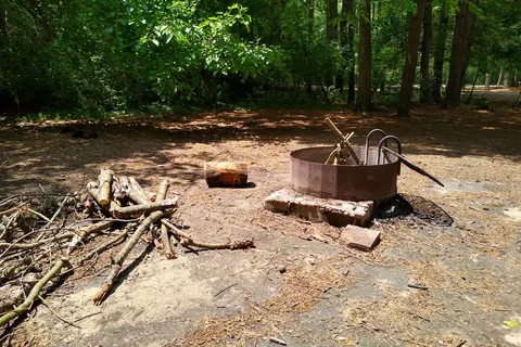 Pine Camp - Sand Ridge State Forest