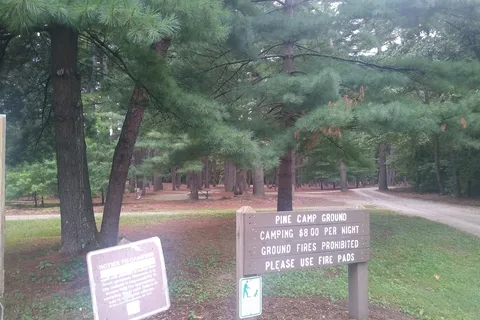 Pine Camp - Sand Ridge State Forest