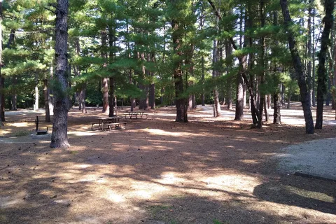 Pine Camp - Sand Ridge State Forest
