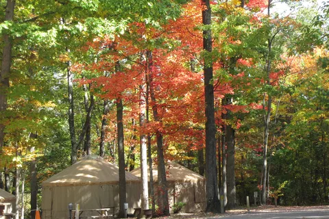 Higgins Lake / Roscommon KOA