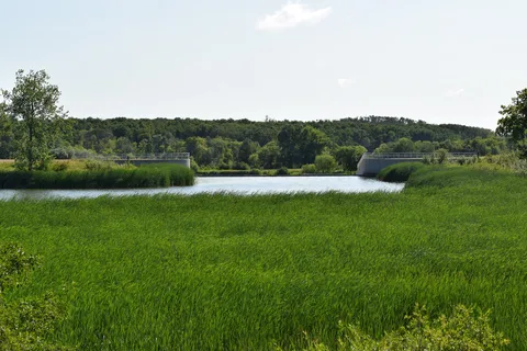 Stephenfield Provincial Park