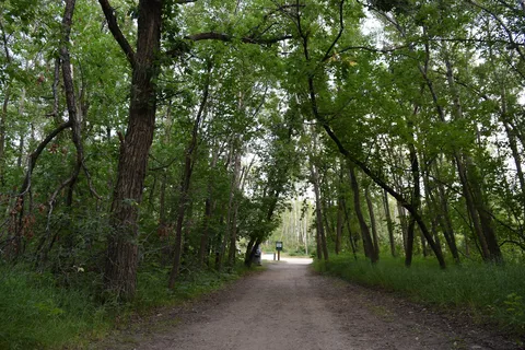 Stephenfield Provincial Park