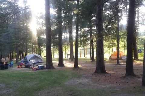 Huntersville State Forest - Shell City Horse Camp