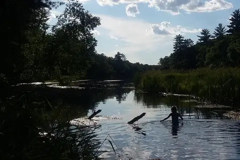 Huntersville State Forest - Shell City Horse Camp