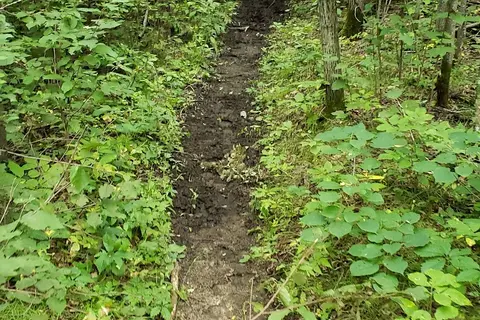 Huntersville State Forest - Shell City Horse Camp
