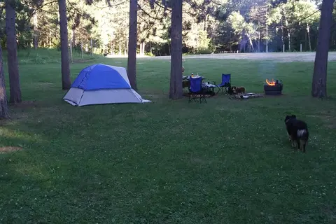Huntersville State Forest - Shell City Horse Camp