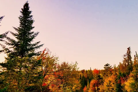 Horseshoe Lake - DEC