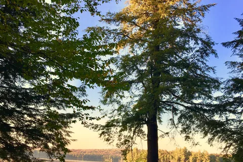 Horseshoe Lake - DEC