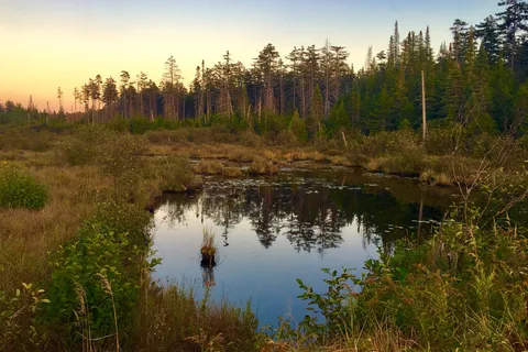 Horseshoe Lake - DEC