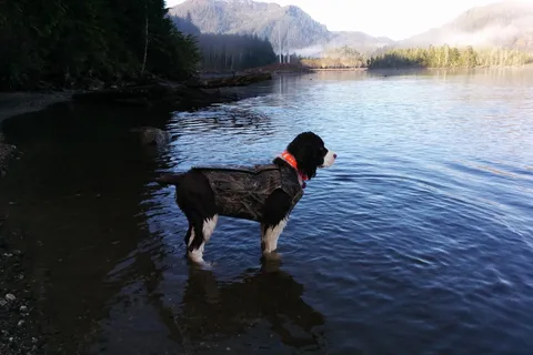 Prudhomme Lake Provincial Park