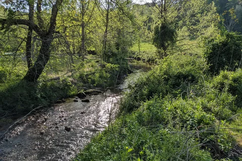 Sandy Creek Family Campground