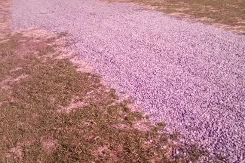 Sandy Creek Family Campground