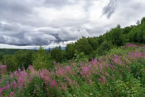 Denali View South - Denali State Park
