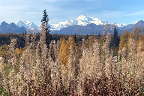 Denali View South - Denali State Park