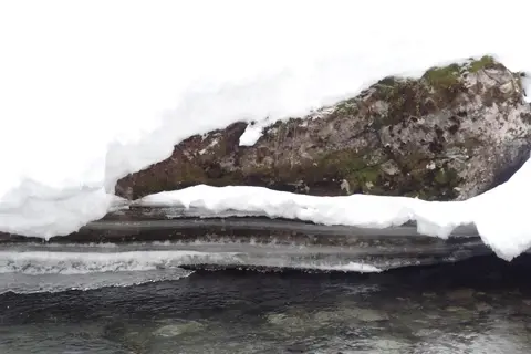 Pebble Creek - Yellowstone National Park