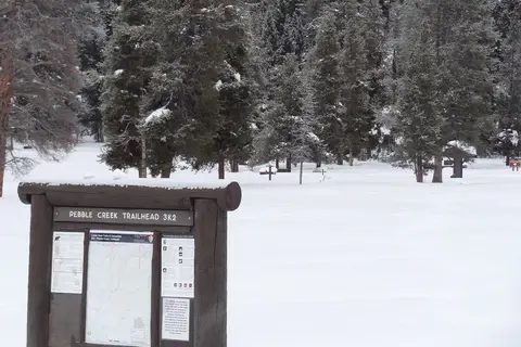 Pebble Creek - Yellowstone National Park