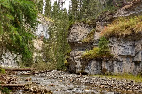 Pebble Creek - Yellowstone National Park