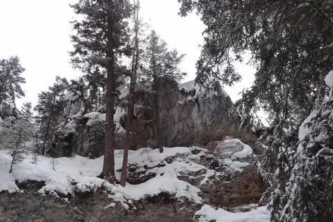 Pebble Creek - Yellowstone National Park