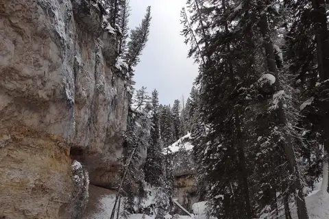 Pebble Creek - Yellowstone National Park