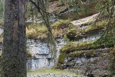 Pebble Creek - Yellowstone National Park