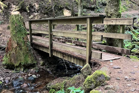 Alice Lake Provincial Park
