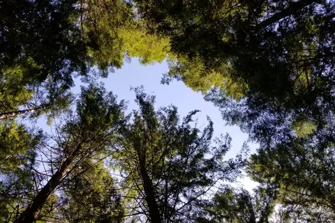 Alice Lake Provincial Park