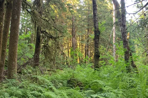 Alice Lake Provincial Park