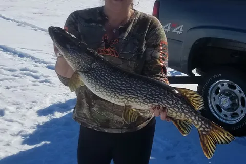 Nodak Lodge and Resort