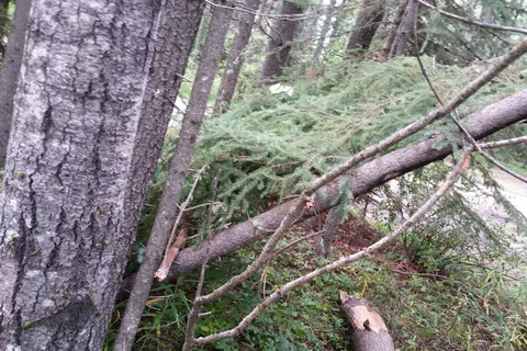 West Canal - Brazeau Reservoir Provincial Recreational Area