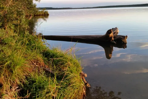 West Canal - Brazeau Reservoir Provincial Recreational Area